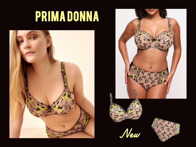 InShot_20250802_183128497