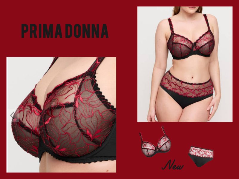 InShot_20251016_175032824