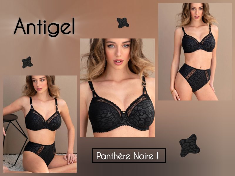 InShot_20251122_164242885