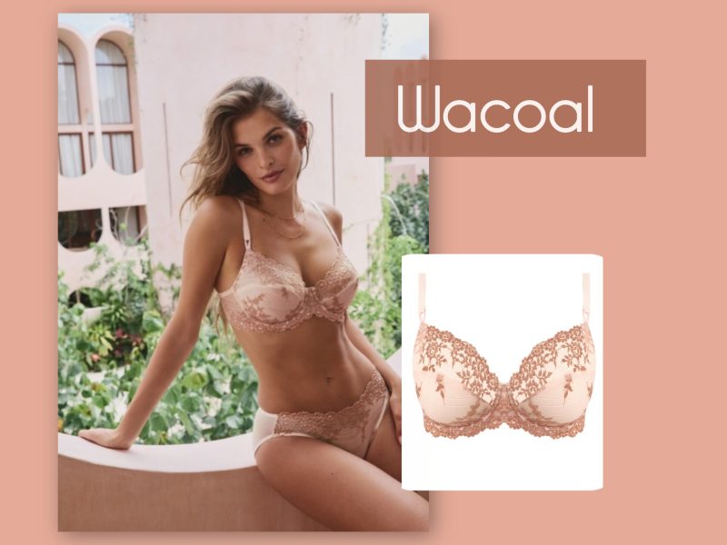 InShot_20260121_173049996